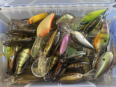 Crankbaits come in all shapes, sizes, colors, and actions.