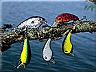 Crankbait fishing