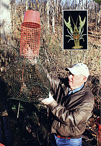 Crayfish fishing