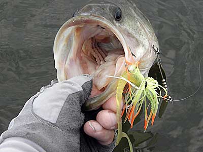 Deep spinnerbait