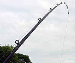 Fishing Rods