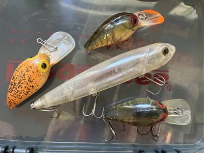 These discontinued baits attract high prices on online auction sites.