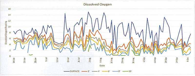 This graph paints an interesting line of oxygen facts.