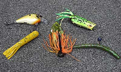 Baits for dock fishing