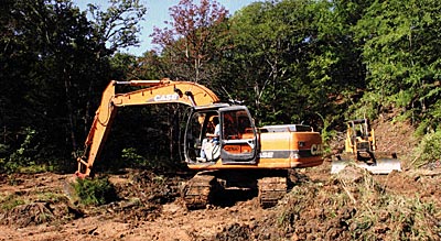 Drawing a pond down to deepen the shoreline could be a good idea.