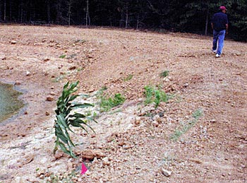 Drawdown helped to reshape this shore.