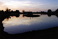 Building a pond