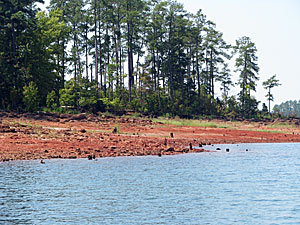 Fishing in a drought