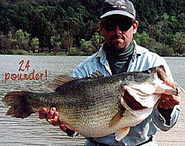 World Record Bass