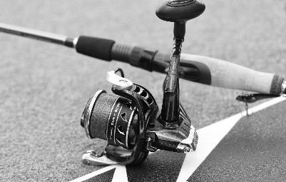 KastKing Valiant Eagle Spinning Reel