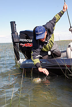 From ice out until post spawn these five techniques are deadly on smallmouths.