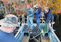 Capturing fish via the electrofishing boat at Richmond Mill Lake, King Fisher Society