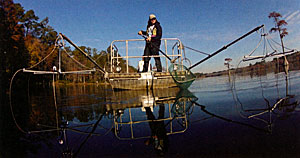 A fish-eye view of electrofishing.