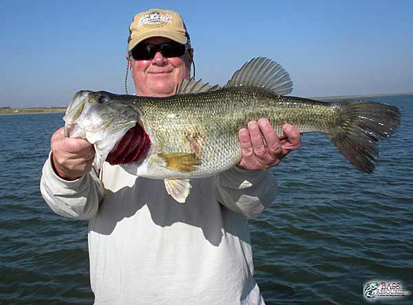 Beautiful Falcon Lake bass caught by forum member Dinky