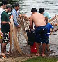 Shoreline seine pulls show the smaller fish and give you an idea of reproduction.