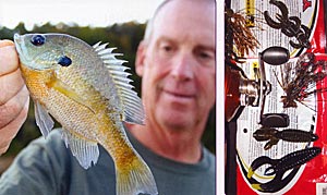 Left: Don't forget the bluegills. Above: Soft plastics, creature baits.