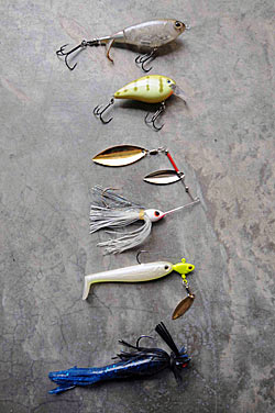 Five favorite lures for catching bass in the fall are topwater lures, crankbaits, spinnerbaits, swimbaits and jigs.