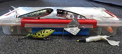 Fall topwater bass baits