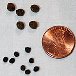 Pick the proper feed, and proper pellet size for feeding yourfish