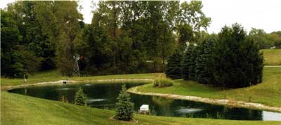 If feeding a substantial amount of fish food, plan to aerate your pond. Courtesy Vertex Water Features.