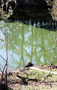 Fertilized pond