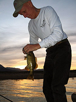 Lake Powell smallmouth