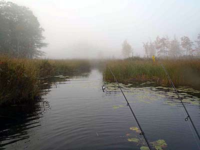 Quiet fishing