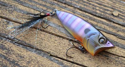 Spring marks the return of topwater fishing, and it’s best to start with poppers. Their small profile and skittering action are just what post-spawn bass want. Photo by Pete M. Anderson
