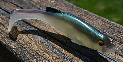 Experiment with different lures, especially ones that are new or unique to where you regularly fish. Large swimbaits, for example, produce big bass on lakes where, historically, they haven't been seen as an appropriate option. Photo by Pete M. Anderson