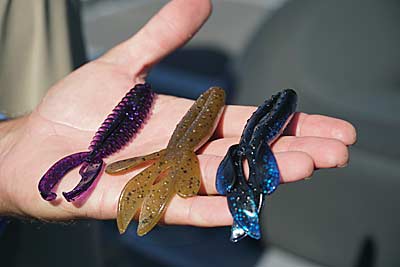 A handful of Ashley's favorite flipping and pitching baits.