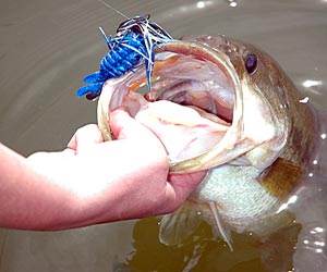 Flipping and Pitching