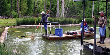 Regular electrofishing helps in culling overabundant small bass. That helps preserve and maintain this lake s forage population.