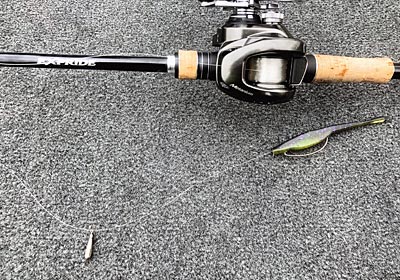 A look at Fukae's Free Rig setup, including the Yamamoto D-Shad.