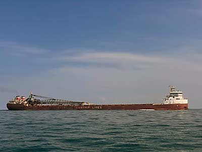 Large freighters are a common sight on Lake St. Clair and connected waters.