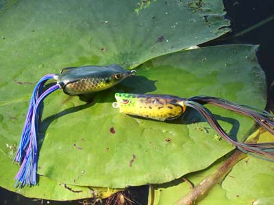 Frog fishing