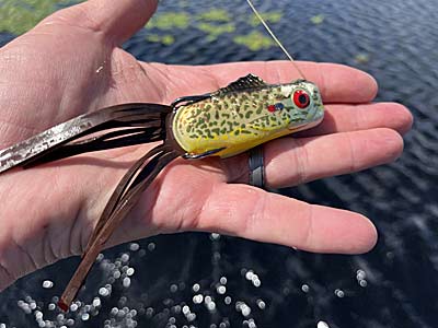 A hollow-bodied frog does more than imitate a frog; it is also great for fooling bass into thinking it is a bluegill splashing around near the surface.