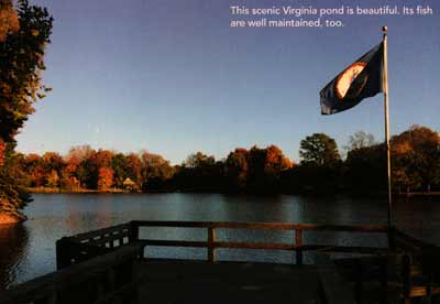 This scenic Virginia pond is beautiful. Its fish are well maintained too.