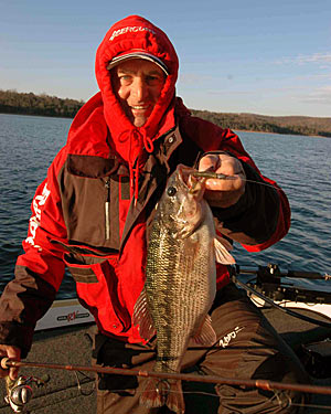 Table Rock Lake guide Pete Wenners relies on a plastic grub to catch bass suspended over deep water.