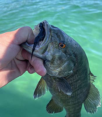 Hair jigs are a little different but catch fish.