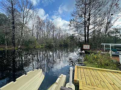 The Harris Chain of Lakes is a scenic fishery with many trees, aquatic vegetation and plenty of wildlife, including alligators and birds.