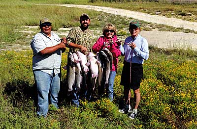 These catfish grew huge and the landowner decided to change the purpose of this pond. Time to eat some catfish.