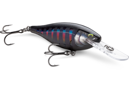 rapala