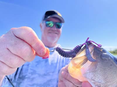 Choosing the right hook for the job will lead to more hooked bass.