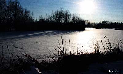 Ice on pond