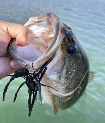 A jig is a solid choice for fishing in February.