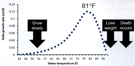 The effect of water temperature on largemouth bass growth.