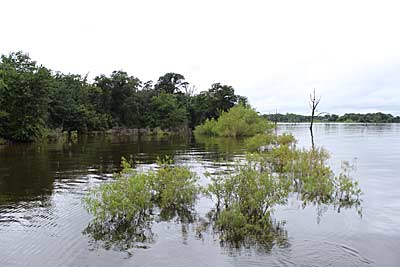 Lake Fork is full of standing timber and plenty of shallow bushes and vegetation.