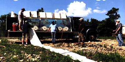 The truck couldn't get close enough to the lake, so a long vinyl pipe was used to chute the fish into the water.