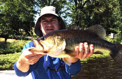 Florida genetics are stocked to improve sizes, crossed with Northern strain bass improves catchability. Photo courtesy Todd Johnson.