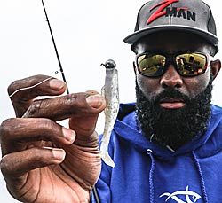 Brian Latimer shows off his favorite small swimbait, the Z-Man DieZel MinnowZ.